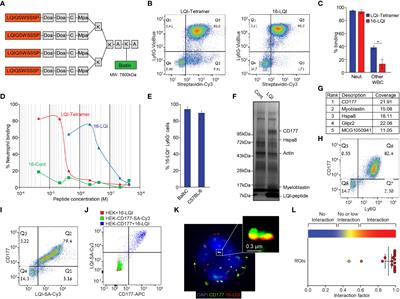 Targeted nanoparticles modify neutrophil function in vivo